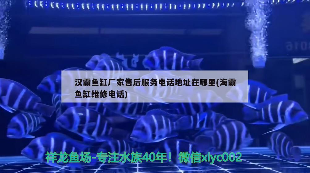 漢霸魚缸廠家售后服務電話地址在哪里(海霸魚缸維修電話)