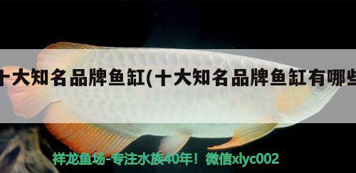 十大知名品牌魚缸(十大知名品牌魚缸有哪些)