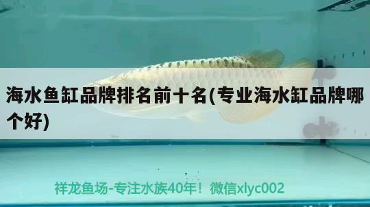 海水魚缸品牌排名前十名(專業(yè)海水缸品牌哪個(gè)好) 海水魚