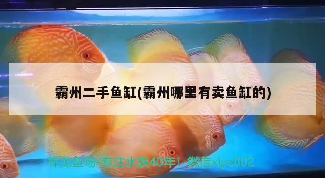 霸州二手魚缸(霸州哪里有賣魚缸的) 魚缸百科