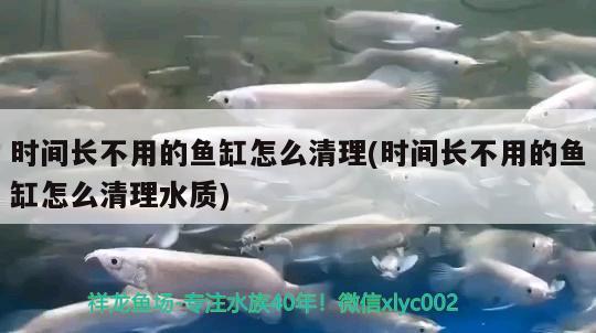 時間長不用的魚缸怎么清理(時間長不用的魚缸怎么清理水質)