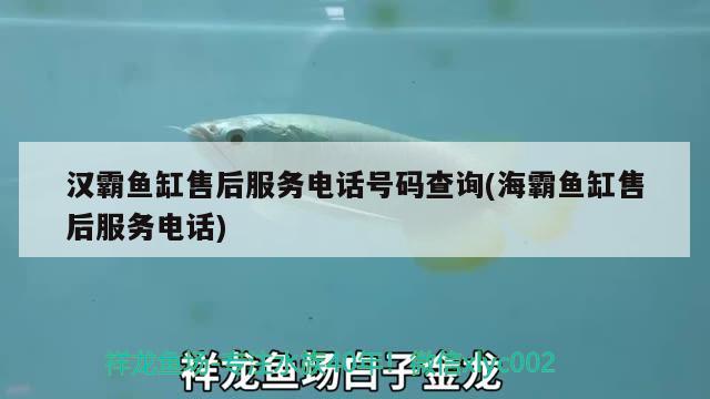 漢霸魚(yú)缸售后服務(wù)電話(huà)號(hào)碼查詢(xún)(海霸魚(yú)缸售后服務(wù)電話(huà))