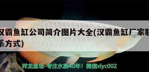 漢霸魚缸公司簡介圖片大全(漢霸魚缸廠家聯(lián)系方式)