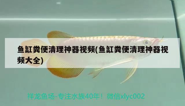 魚缸糞便清理神器視頻(魚缸糞便清理神器視頻大全) BD魟魚