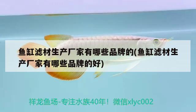 魚缸濾材生產(chǎn)廠家有哪些品牌的(魚缸濾材生產(chǎn)廠家有哪些品牌的好) 觀賞魚進(jìn)出口