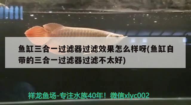 魚缸三合一過濾器過濾效果怎么樣呀(魚缸自帶的三合一過濾器過濾不太好)