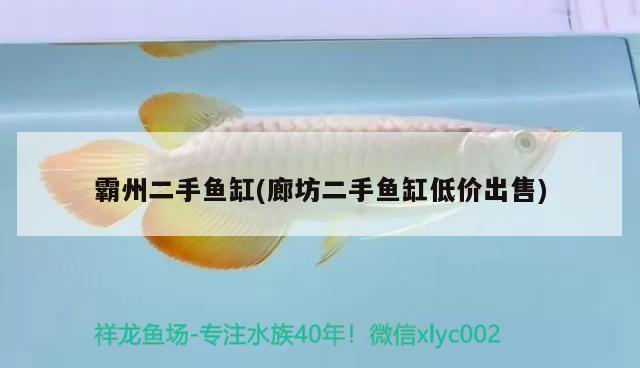 霸州二手魚缸(廊坊二手魚缸低價出售) 魚缸百科