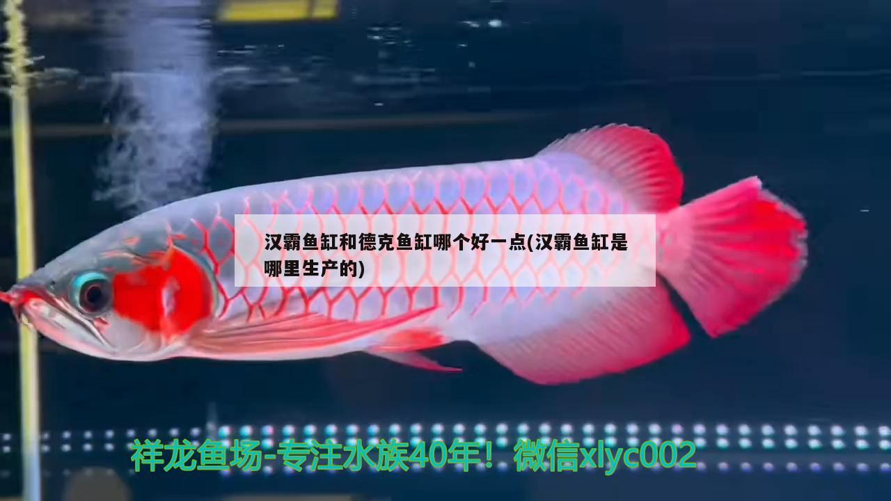 漢霸魚缸和德克魚缸哪個好一點(漢霸魚缸是哪里生產(chǎn)的)