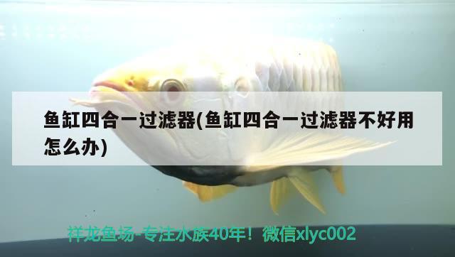 魚缸四合一過濾器(魚缸四合一過濾器不好用怎么辦) 魚缸凈水劑