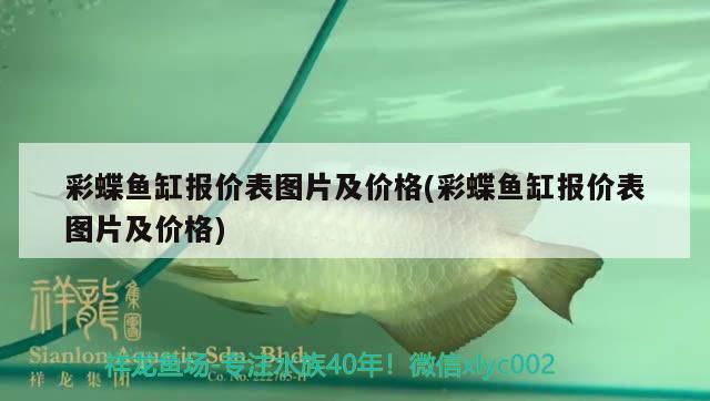 彩蝶魚缸報價表圖片及價格(彩蝶魚缸報價表圖片及價格) 潛水艇魚