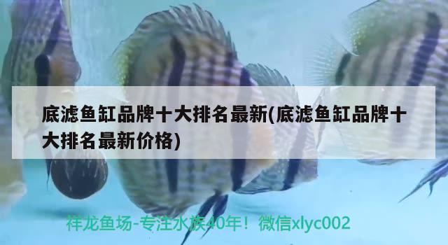 底濾魚缸品牌十大排名最新(底濾魚缸品牌十大排名最新價(jià)格) 魚缸百科