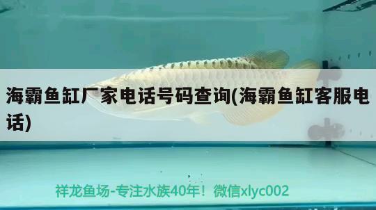 海霸魚缸廠家電話號碼查詢(海霸魚缸客服電話)