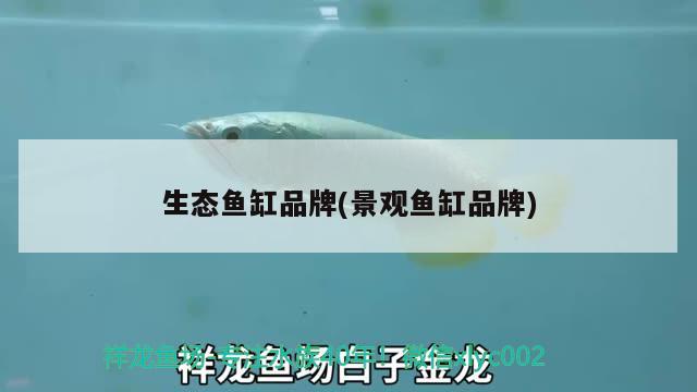 生態(tài)魚(yú)缸品牌(景觀魚(yú)缸品牌)