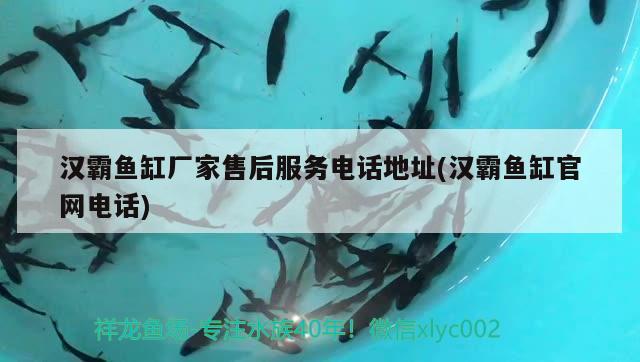 漢霸魚缸廠家售后服務(wù)電話地址(漢霸魚缸官網(wǎng)電話)