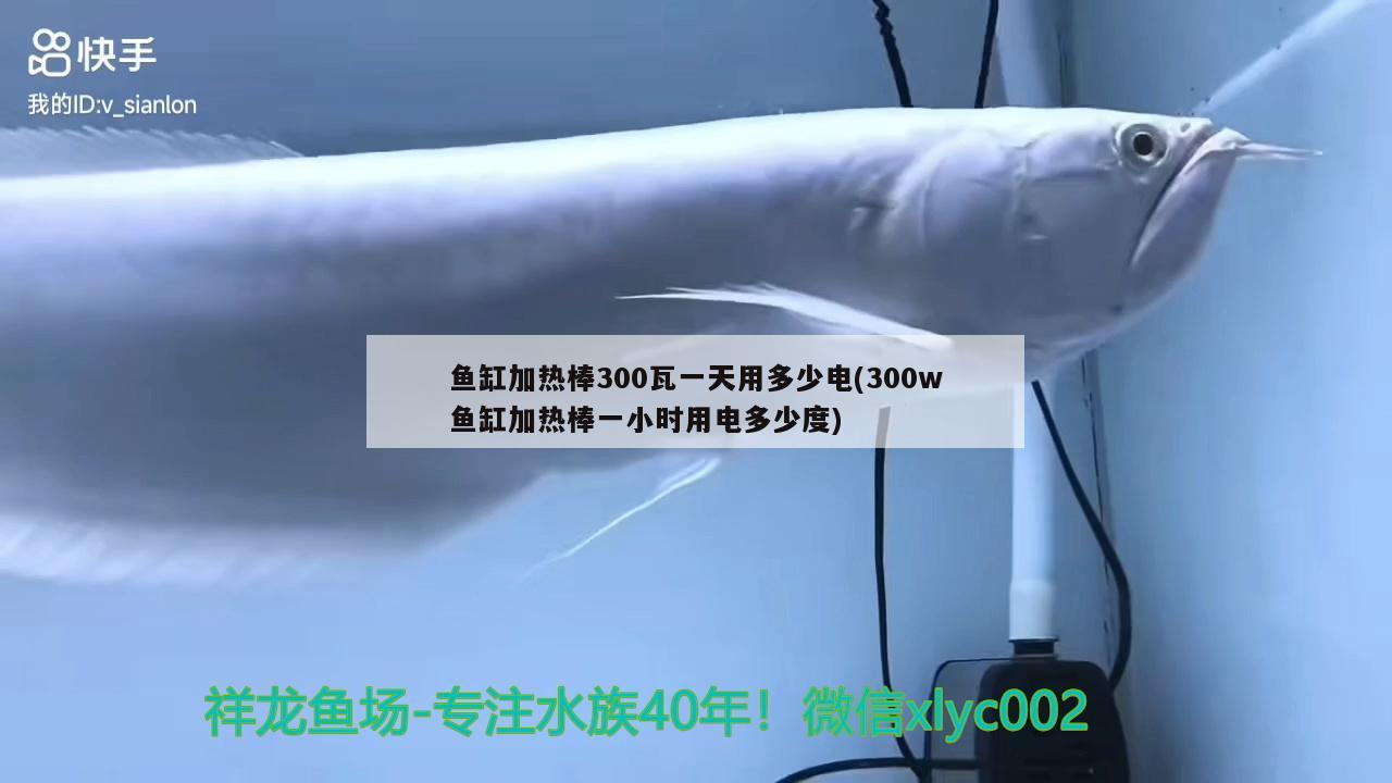 魚(yú)缸加熱棒300瓦一天用多少電(300w魚(yú)缸加熱棒一小時(shí)用電多少度) 銀古魚(yú)苗