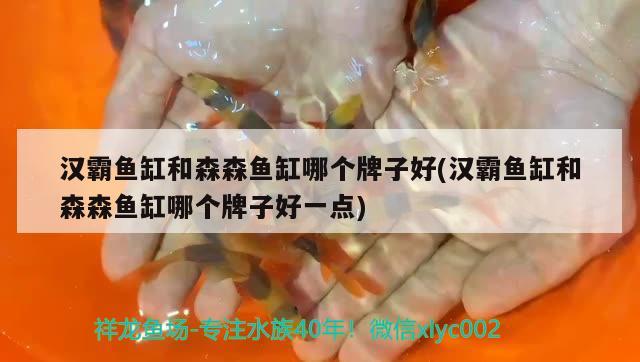 漢霸魚缸和森森魚缸哪個牌子好(漢霸魚缸和森森魚缸哪個牌子好一點)