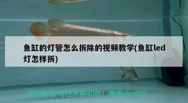 魚缸的燈管怎么拆除的視頻教學(魚缸led燈怎樣拆) 觀賞魚飼料