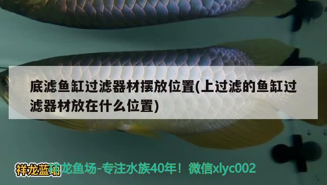 底濾魚缸過濾器材擺放位置(上過濾的魚缸過濾器材放在什么位置)