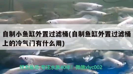 自制小魚缸外置過(guò)濾桶(自制魚缸外置過(guò)濾桶上的冷氣門有什么用)