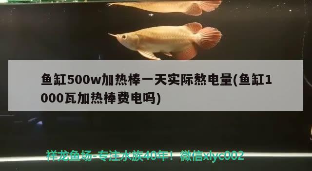 魚缸500w加熱棒一天實(shí)際熬電量(魚缸1000瓦加熱棒費(fèi)電嗎) 藍(lán)帆三間魚