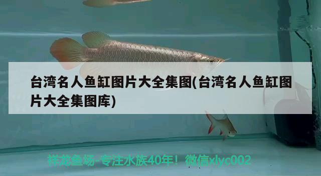 臺灣名人魚缸圖片大全集圖(臺灣名人魚缸圖片大全集圖庫)