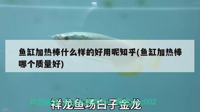 魚缸加熱棒什么樣的好用呢知乎(魚缸加熱棒哪個質量好) 紅尾平克魚