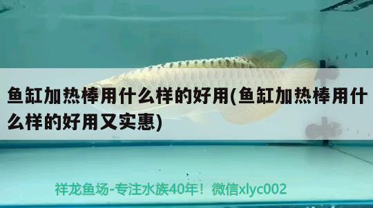 魚缸加熱棒用什么樣的好用(魚缸加熱棒用什么樣的好用又實(shí)惠) 七紋巨鯉魚