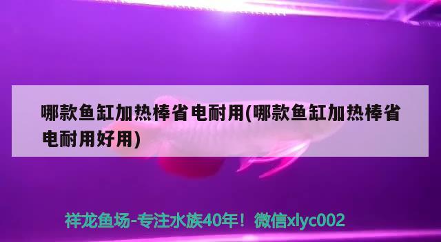 哪款魚缸加熱棒省電耐用(哪款魚缸加熱棒省電耐用好用) 巴西亞魚