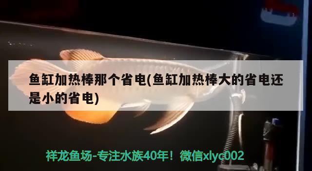 魚缸加熱棒那個省電(魚缸加熱棒大的省電還是小的省電) 印尼小紅龍