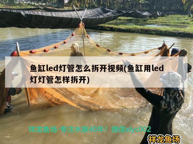 魚缸led燈管怎么拆開視頻(魚缸用led燈燈管怎樣拆開) 觀賞魚百科