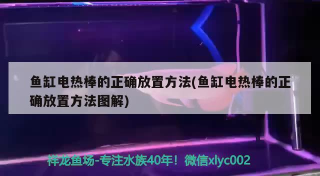 魚缸電熱棒的正確放置方法(魚缸電熱棒的正確放置方法圖解)