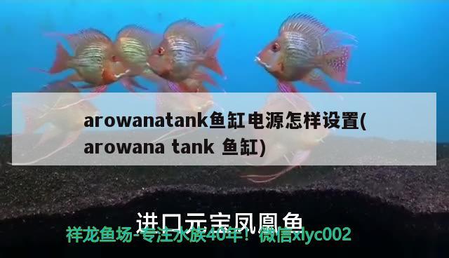 arowanatank魚缸電源怎樣設(shè)置(arowanatank魚缸) 其他益生菌