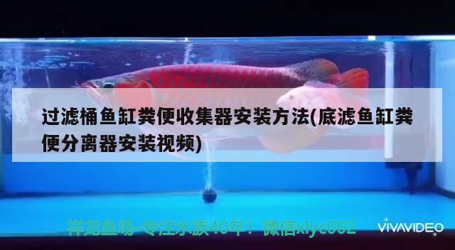 過濾桶魚缸糞便收集器安裝方法(底濾魚缸糞便分離器安裝視頻)