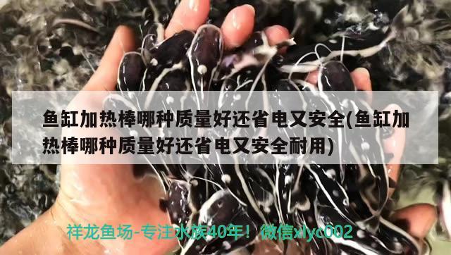 魚缸加熱棒哪種質量好還省電又安全(魚缸加熱棒哪種質量好還省電又安全耐用)