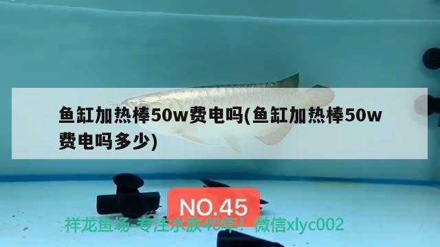 魚缸加熱棒50w費(fèi)電嗎(魚缸加熱棒50w費(fèi)電嗎多少) 斑馬狗頭魚