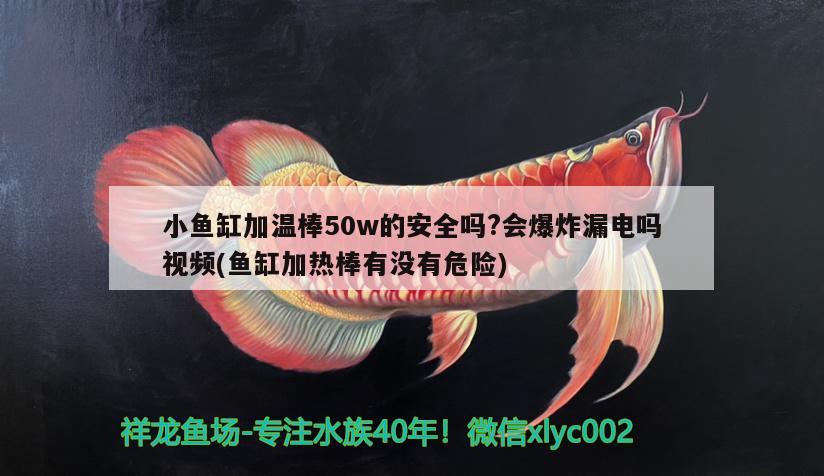 小魚缸加溫棒50w的安全嗎?會(huì)爆炸漏電嗎視頻(魚缸加熱棒有沒有危險(xiǎn))