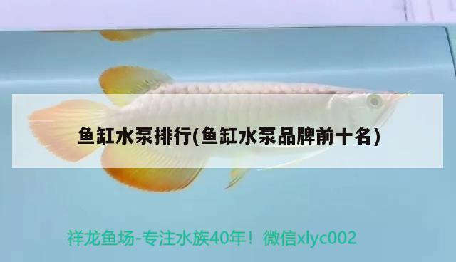 魚(yú)缸水泵排行(魚(yú)缸水泵品牌前十名)