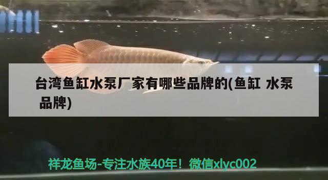 臺(tái)灣魚(yú)缸水泵廠(chǎng)家有哪些品牌的(魚(yú)缸水泵品牌) 魚(yú)缸水泵