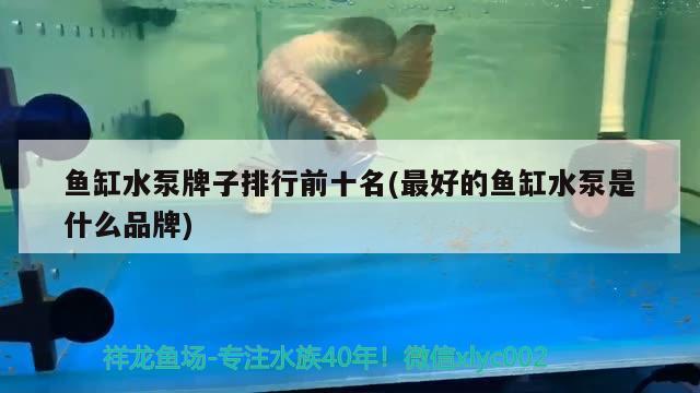 魚缸水泵牌子排行前十名(最好的魚缸水泵是什么品牌) 魚缸水泵