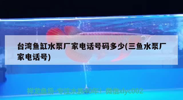 臺灣魚缸水泵廠家電話號碼多少(三魚水泵廠家電話號) 魚缸水泵