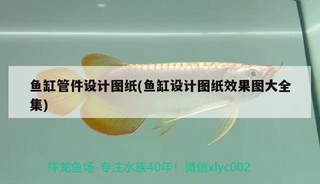 魚缸管件設計圖紙(魚缸設計圖紙效果圖大全集)