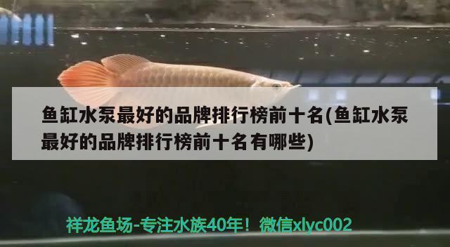 魚缸水泵最好的品牌排行榜前十名(魚缸水泵最好的品牌排行榜前十名有哪些) 魚缸水泵