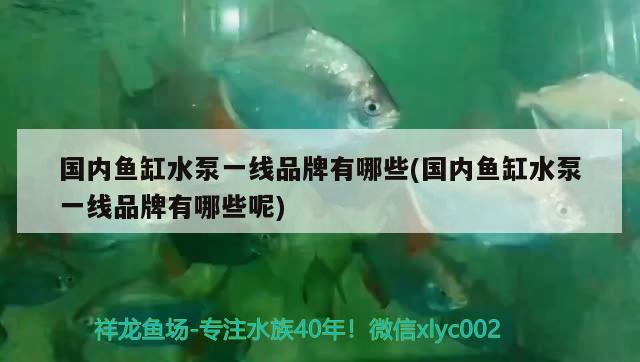 國內魚缸水泵一線品牌有哪些(國內魚缸水泵一線品牌有哪些呢)