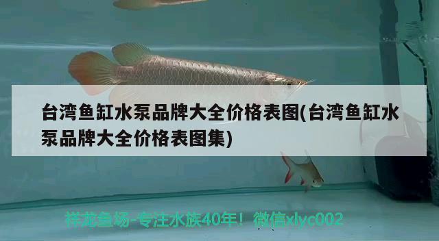 臺灣魚缸水泵品牌大全價格表圖(臺灣魚缸水泵品牌大全價格表圖集)