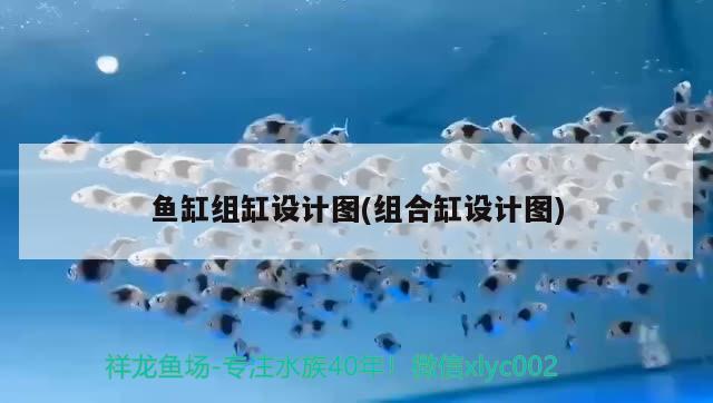 魚缸組缸設計圖(組合缸設計圖) 粗線銀版魚