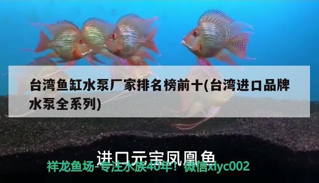 臺灣魚缸水泵廠家排名榜前十(臺灣進口品牌水泵全系列)