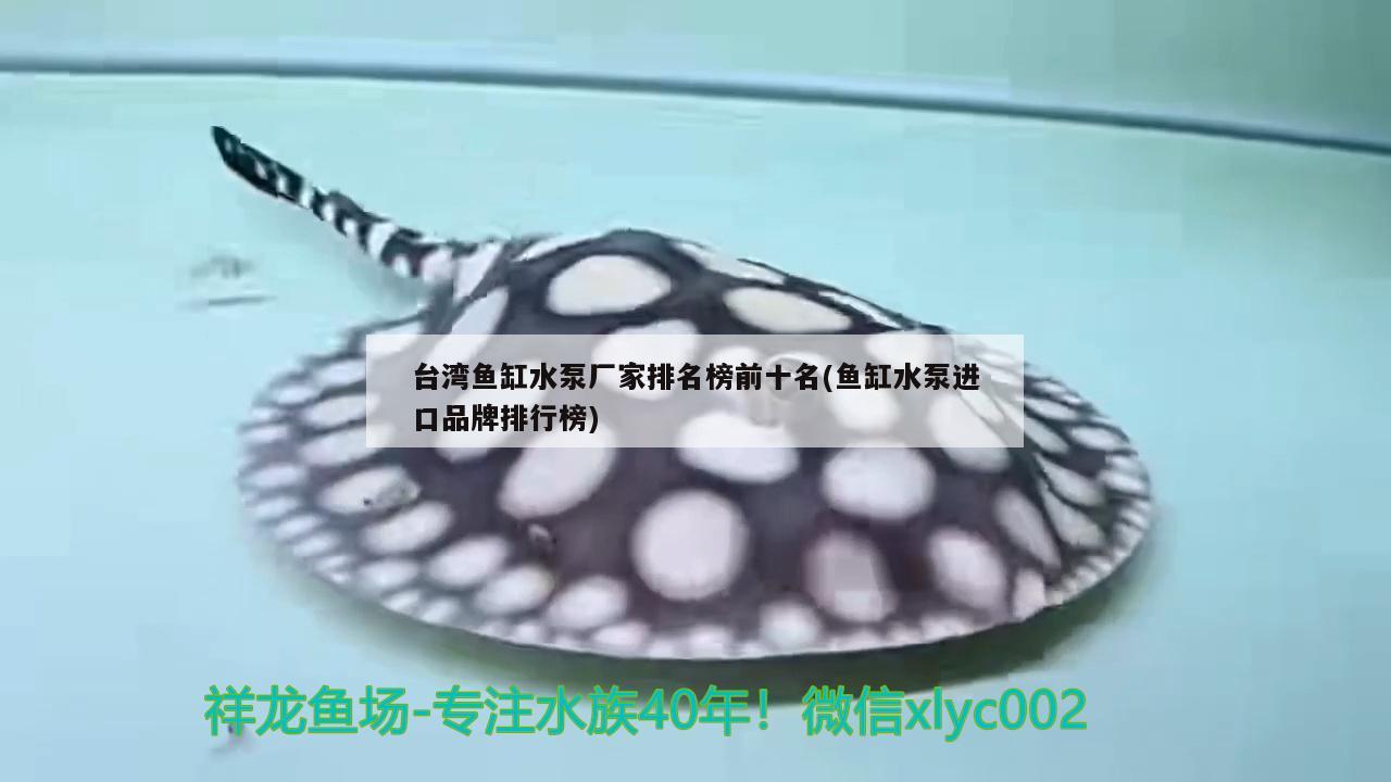 臺(tái)灣魚缸水泵廠家排名榜前十名(魚缸水泵進(jìn)口品牌排行榜)