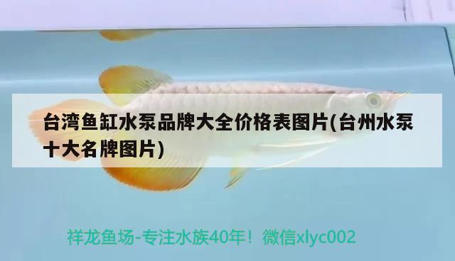 臺(tái)灣魚缸水泵品牌大全價(jià)格表圖片(臺(tái)州水泵十大名牌圖片)