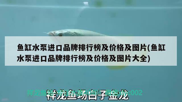 魚缸水泵進口品牌排行榜及價格及圖片(魚缸水泵進口品牌排行榜及價格及圖片大全)