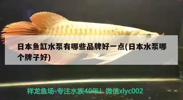 日本魚缸水泵有哪些品牌好一點(diǎn)(日本水泵哪個牌子好) 魚缸水泵